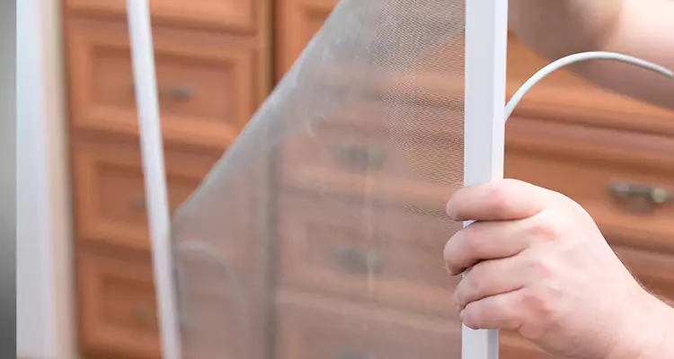 Privacy Mesh Screen Door Installation in Port St. Lucie, FL